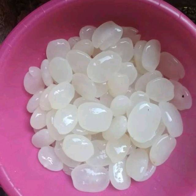 

Kolang kaling