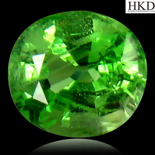 Certified Oval 1.05ct Natural Green TSAVORITE Garnet, Tanzania Good Luster GT006