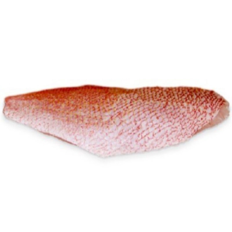 

daging fillet kakap merah premium berat 500gram haraga murah PROMO