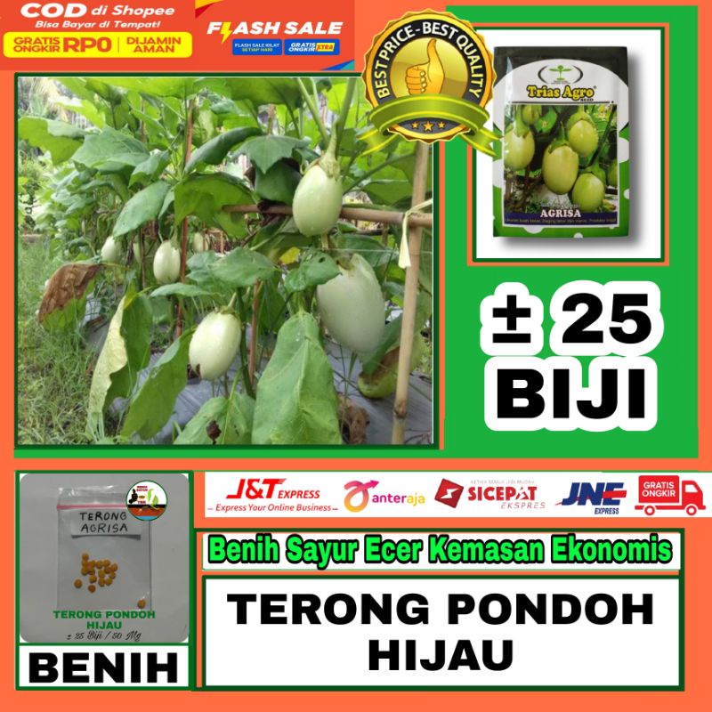 25 Benih terong pondoh hijau ronggo Agrisa Tias Agro Kemasan Ecer Ekonomis
