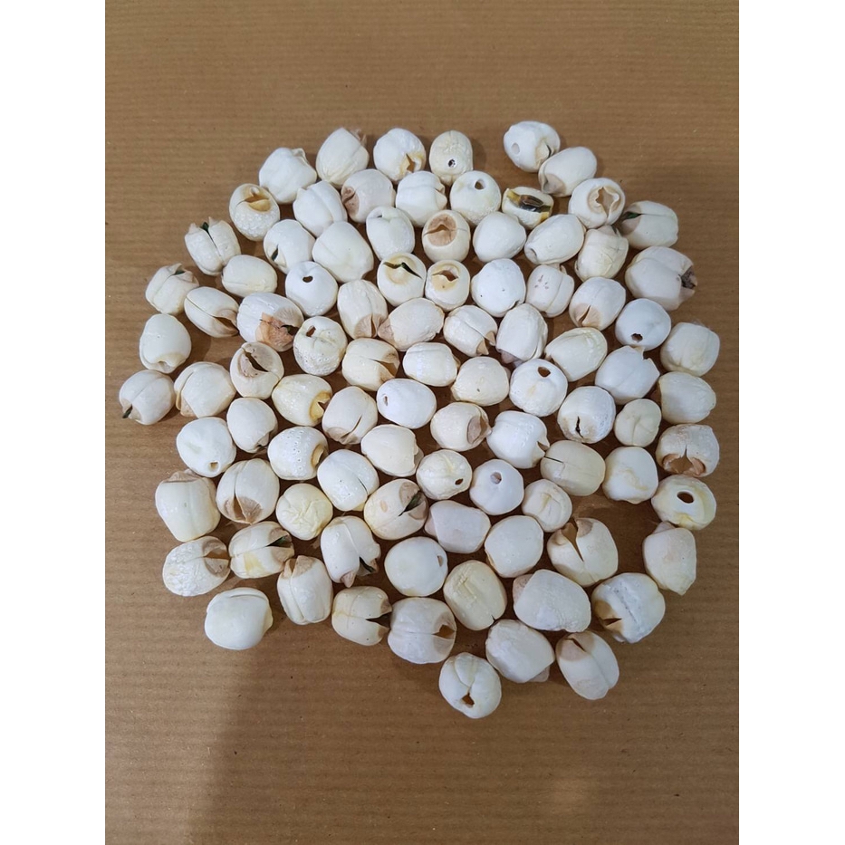 

Biji Teratai Premium/ Lian Zhi /Lien Ci/white lotus seed /Lienci 100g