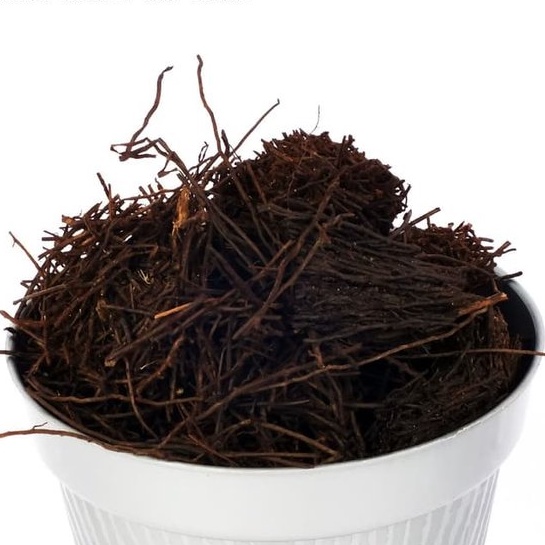 Termurah Pakis Cacah  Campuran Media Tanam Tanaman Hias Anggrek dan Aglonema