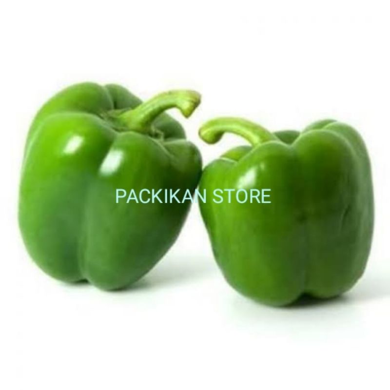 

Cabe Paprika segar Dan Bergarasi perbiji
