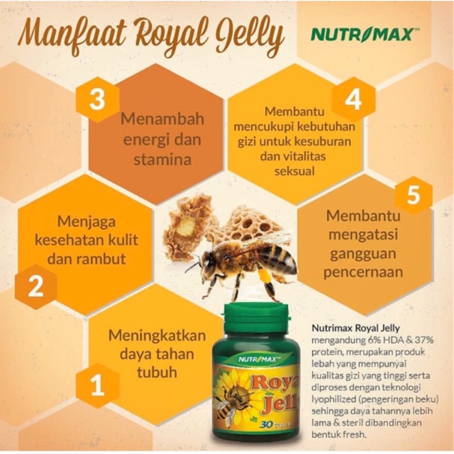 ORIGINAL Nutrimax Bee Propolis Plus Bee Pollen 30s BPOM / Bee Healthy / Vitamin Daya Tahan Tubuh / LEDI MART