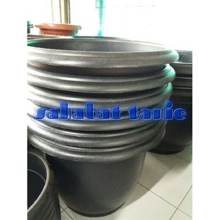 Harga Terbaik pot  besar  70cm pot  tanaman cempaka Hitam 