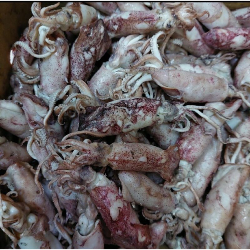 

cumi asin segar 100gr