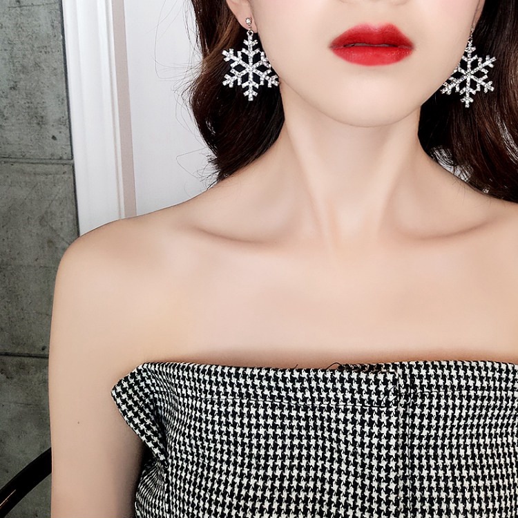 Kepingan salju anting-anting temperamen Korea pribadi telinga wanita panjang fringe liontin Bunga Es