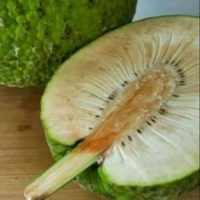 

Buah sukun segar