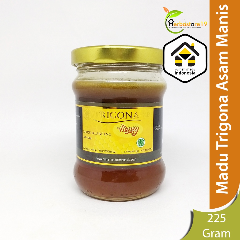 Madu Klanceng Madu Murni Asli Lebah Klanceng Original Isi 225 Gram Madu Kelulut Asli Kalimantan Madu Trigona Premium Madu Asli Murni Original Klanceng