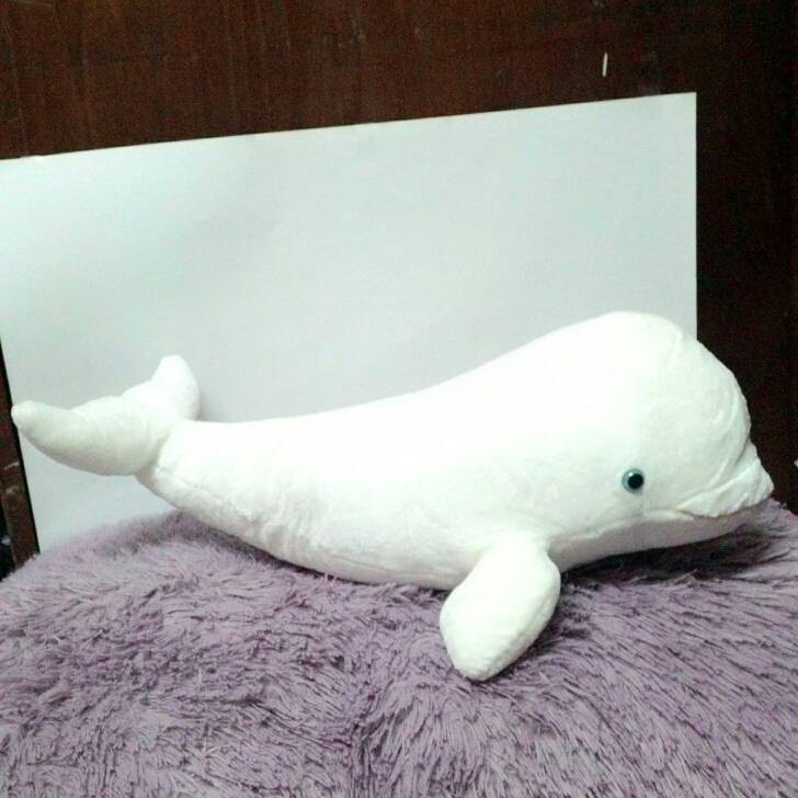 Water Dolphin Soft Toys from Aurora Boneka Kado