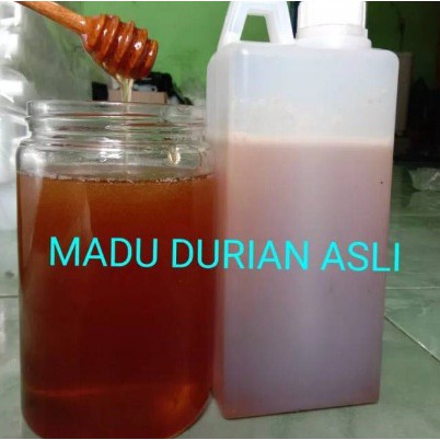 

Madu Asli/madu durian 1kg madu murni madu jakarta madu annisa