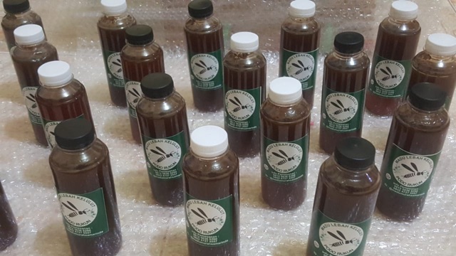 

Madu Trigona / Klanceng / Kelulut Asli Kalimantan 250 ml