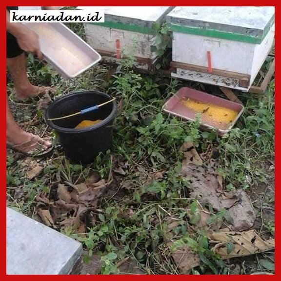 

MADU-MINUMAN- BEE POLLEN RAW SERBUK SARI BRUTO 114 GR -ASLI-BUKAN-KAWE-KAWE-