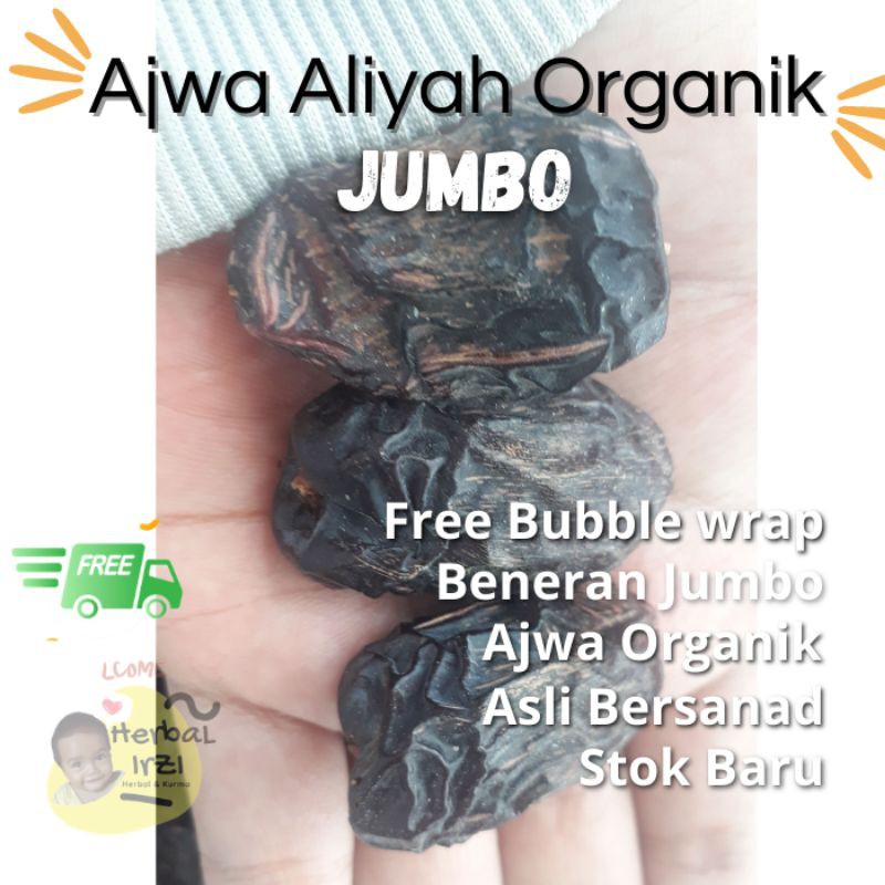 

Kurma Ajwa | Aliyah Jumbo | Organik Asli Madinah