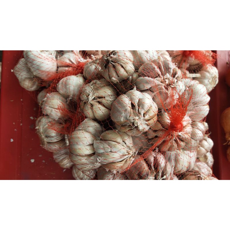 

Bawang Putih / Garlic