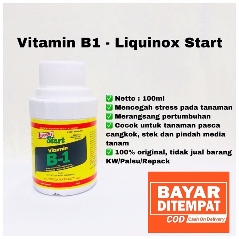 Pupuk Vitamin B1 Tanaman Liquinox Start 100ml Anti Stres Shopee Indonesia