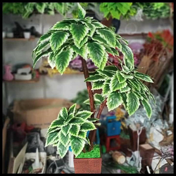 Pohon Gerigi- Pohon Plastik- Pohon Dekorasi- Hiasan Rumah- Pohon Murah