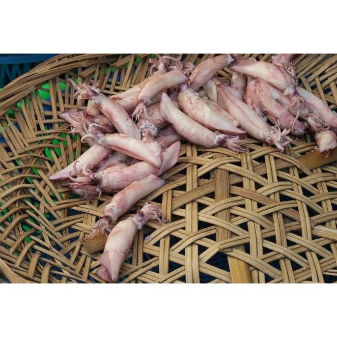 

[COD] Cumi Asin Berkualitas - 250 Gram [COD]