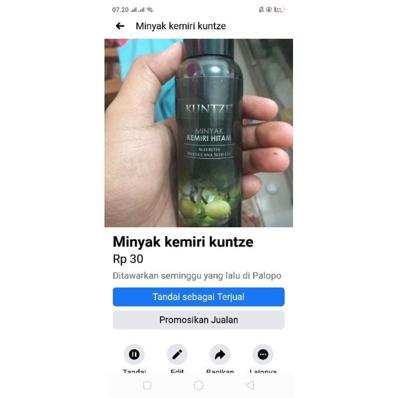 minyak kemiri kuntze