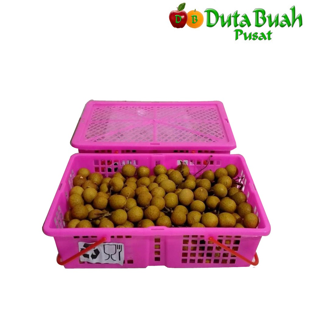 

DUTA BUAH LENGKENG BANGKOK 3KG