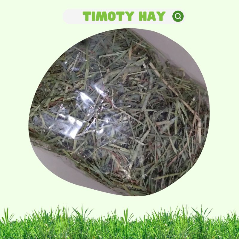 Timoty Hay/ Rumput Timoty Kering untuk Kelinci, GP, Hamster, Torto Repack 100gram