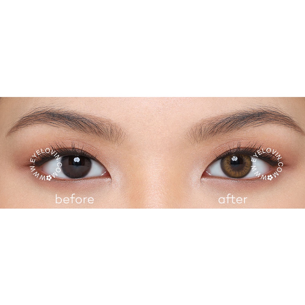 Eyelovin Softlens Mite Clair Pure Moist - Gaia Brown