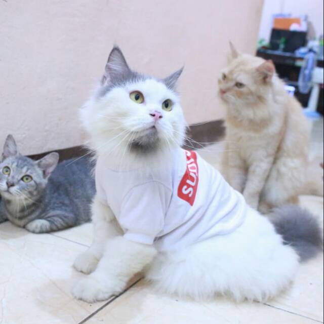 Kaos sablon supreme putih untuk kucing dan anjing size S-XL