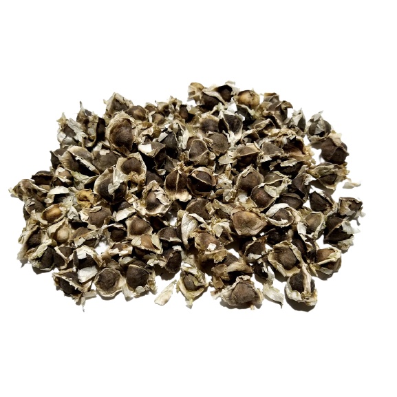 

Organic Moringa Seeds 80gr