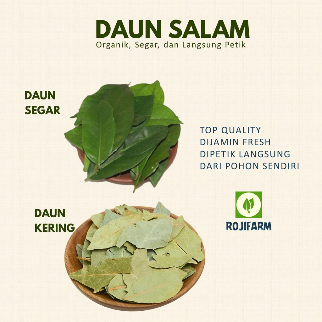 

Daun Salam 100 gr - RojiFarm Cileungsi