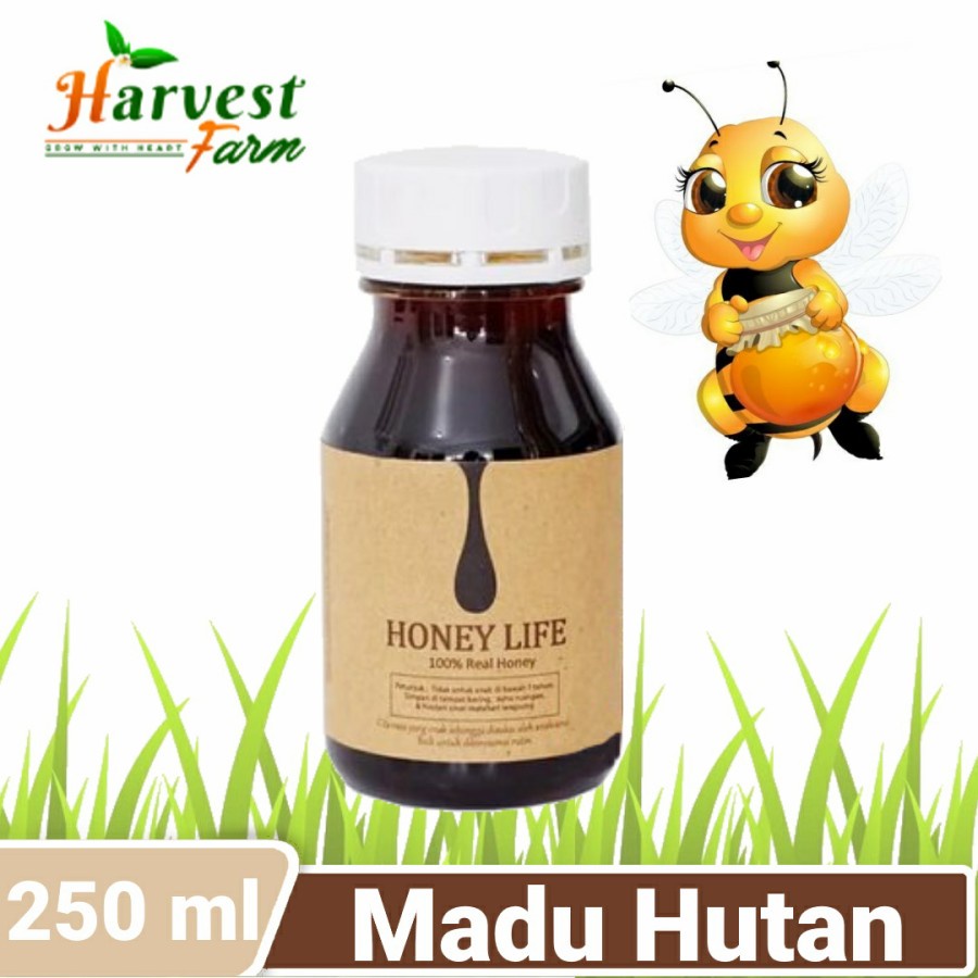 

Madu Honey life / Raw Wild Forest Honey / Madu hutan Murni - 250 ml