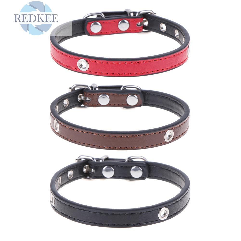 quick release dog collar