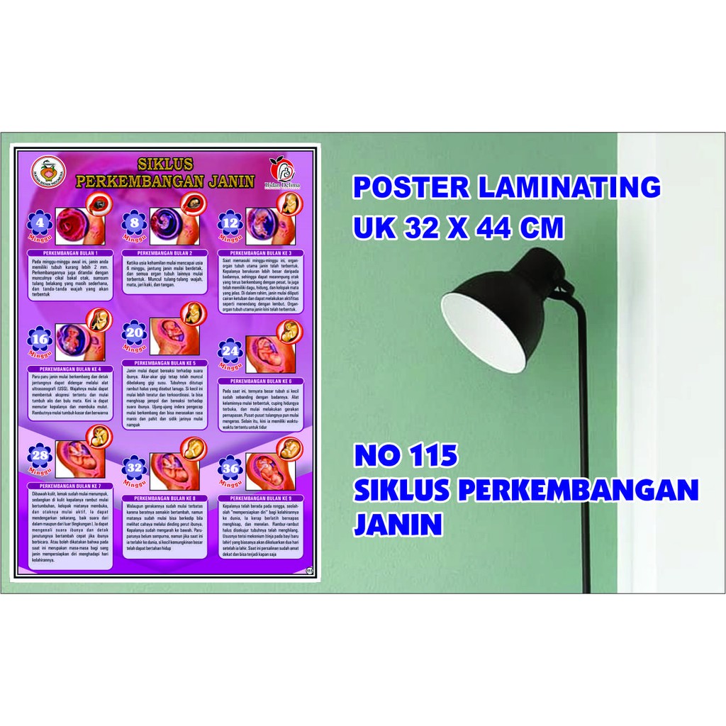 POSTER KESEHATAN LAMINATING NO.115 ( PERKEMBANGAN JANIN)