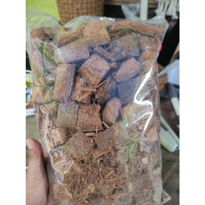 COCOCHIP SABUT KELAPA MEDIA TANAM DAN ALAS PELIHARAAN 500GR ORGANIK ANIMAL MAT