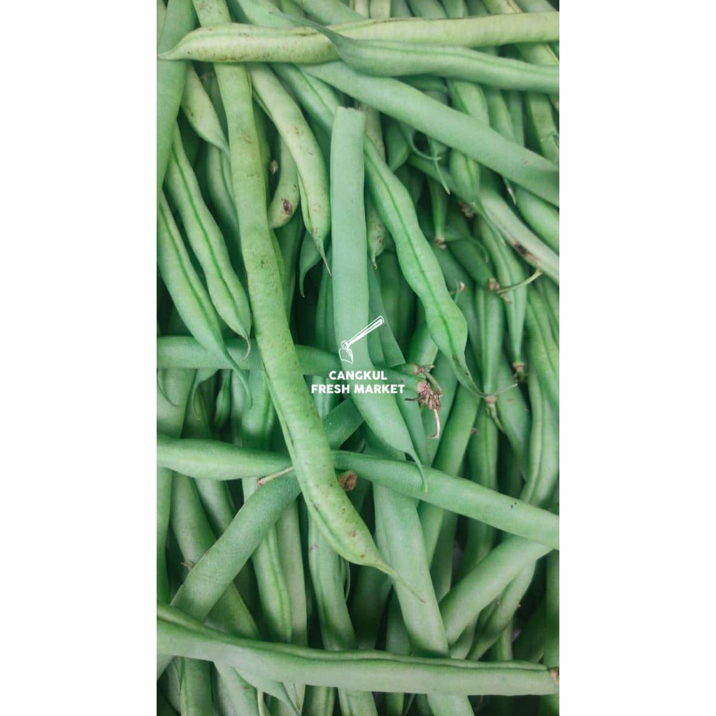 

Buncis segar pilihan 500 gr