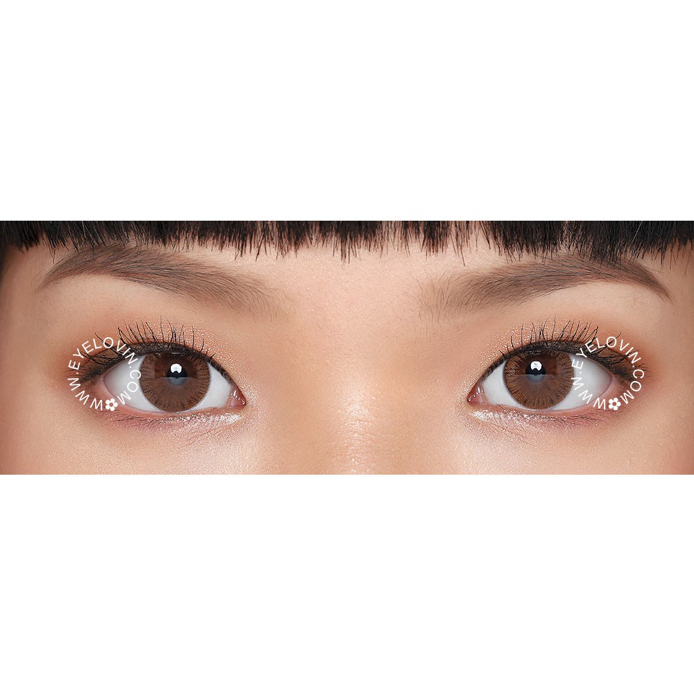 Eyelovin x Patricia Stephanie Softlens Neo Cosmo - Autumn Brown N244