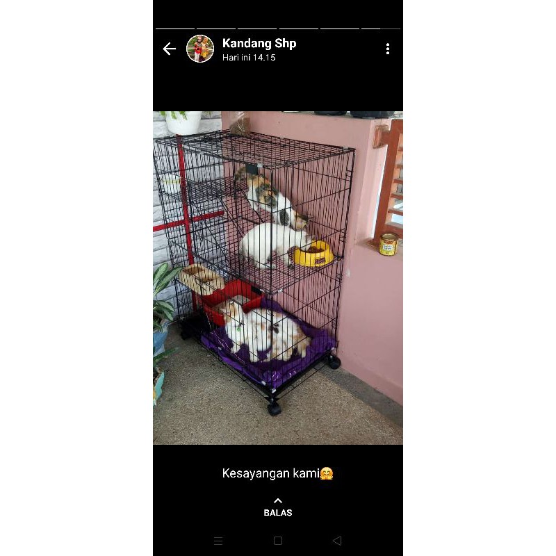 Kandang Kucing tk3 XL uk 110x75x50. bahan besi tebal-Biru