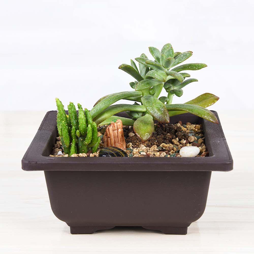 NICKOLAS1 Pot Bonsai Retro Balkon Dekorasi Rumah Sukulen Planters