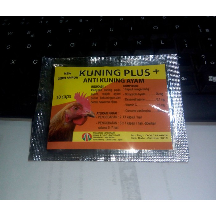 OBAT AYAM KUNING PLUS