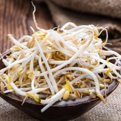 

Tauge Segar per Pack Sayur Segar Sayur Hijau Cikarang
