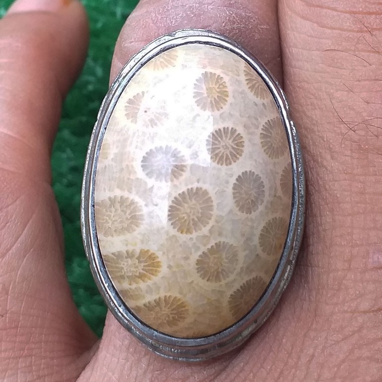 Batu Akik Alam Teratai Putih Sarang Tawon Unik Alami Bigsize Mumbul