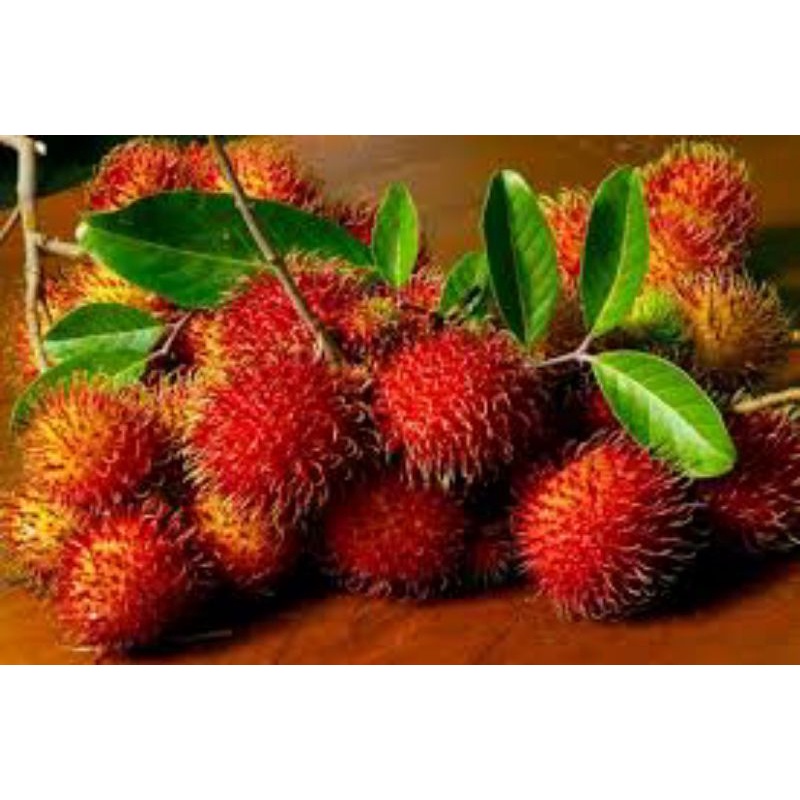 

Rambutan Online per Kg