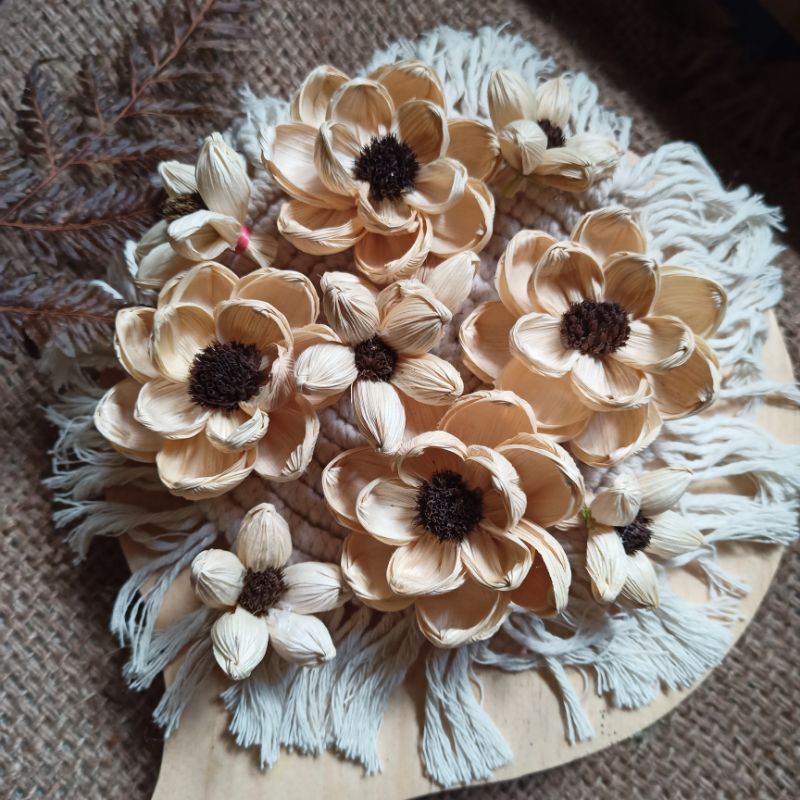 Bunga klobot teratai pompom