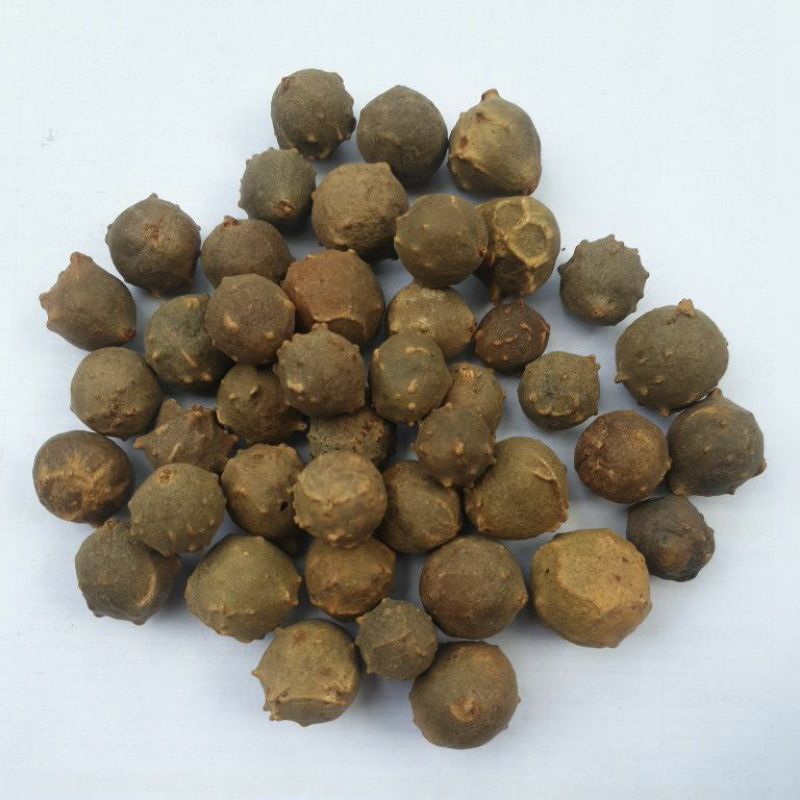 

Buah Manjakani 100gr | Majaan | Oak Galls