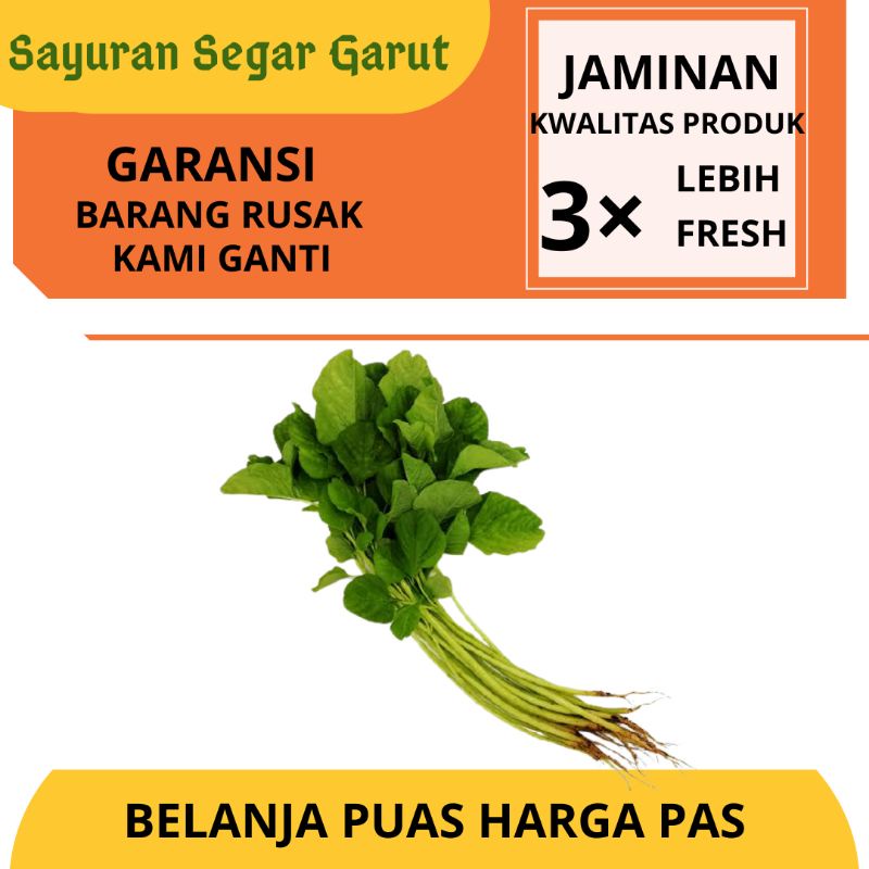 

Sayur Bayam Baby Hijau Segar Fresh Per Ikat Super Murah by Sayuran Segar Garut