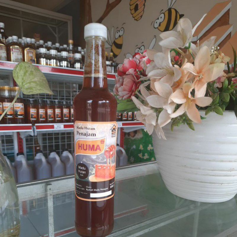 

Madu Hutan Kalimantan 650 gr