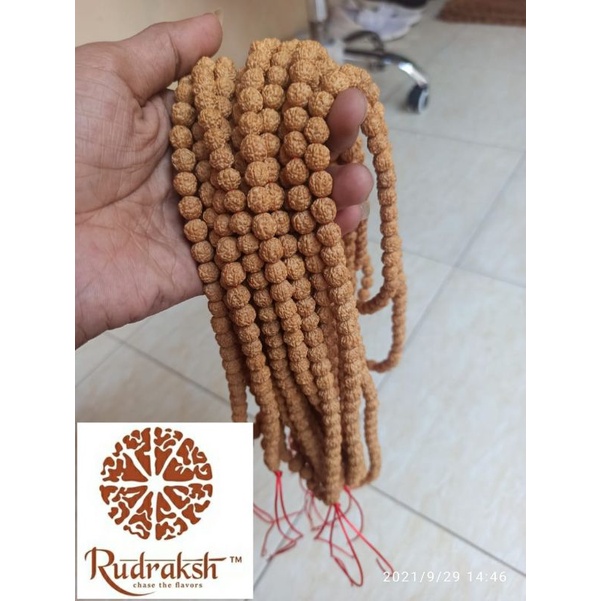 Kalung biji Rudraksha genitri 108 biji
