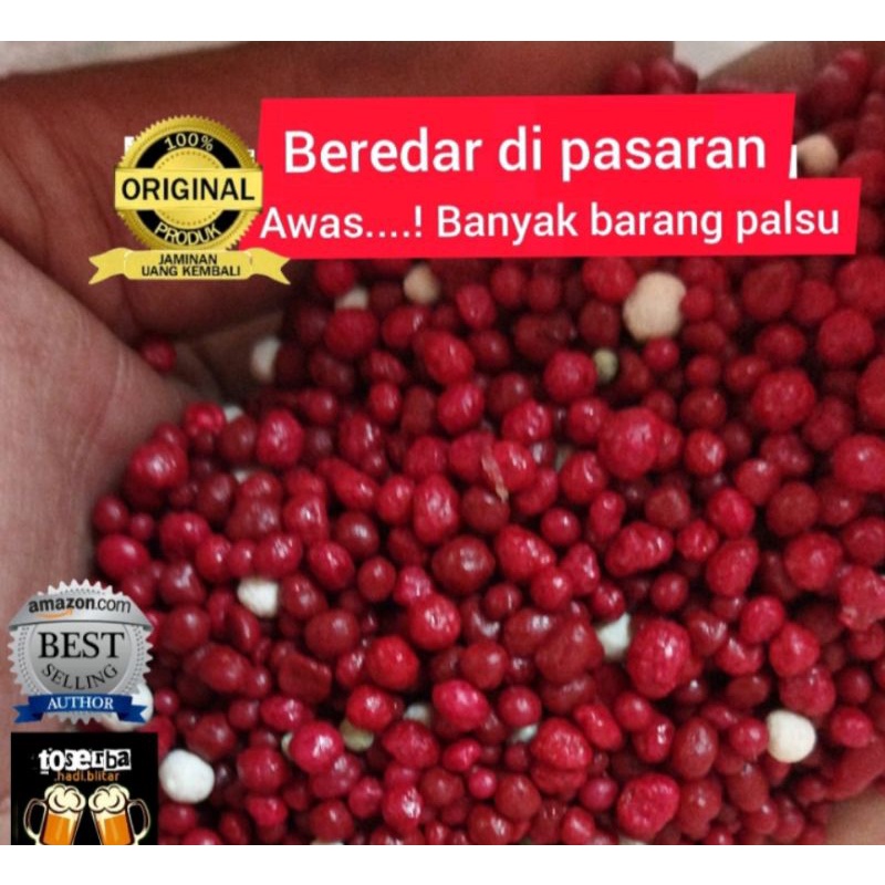 Pupuk SR (Slow Release) Ori Thailand Merah Maroon