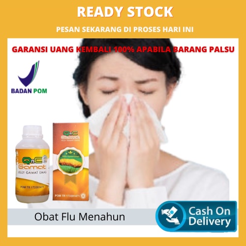 Obat Flu Menahun Alami,  Gejala Flu Menahun,  Mengatasi Flu Menahun Qnc Jelly Gamat Ekstrak Teripang