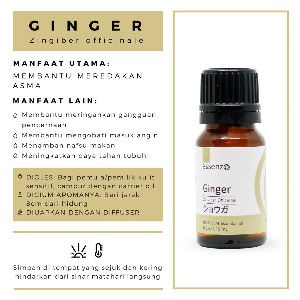 

Ginger (ASMA)