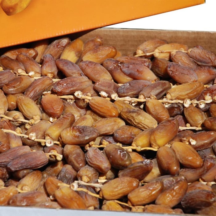 

Kurma Tunis Tangkai 1kg Brang Bagus